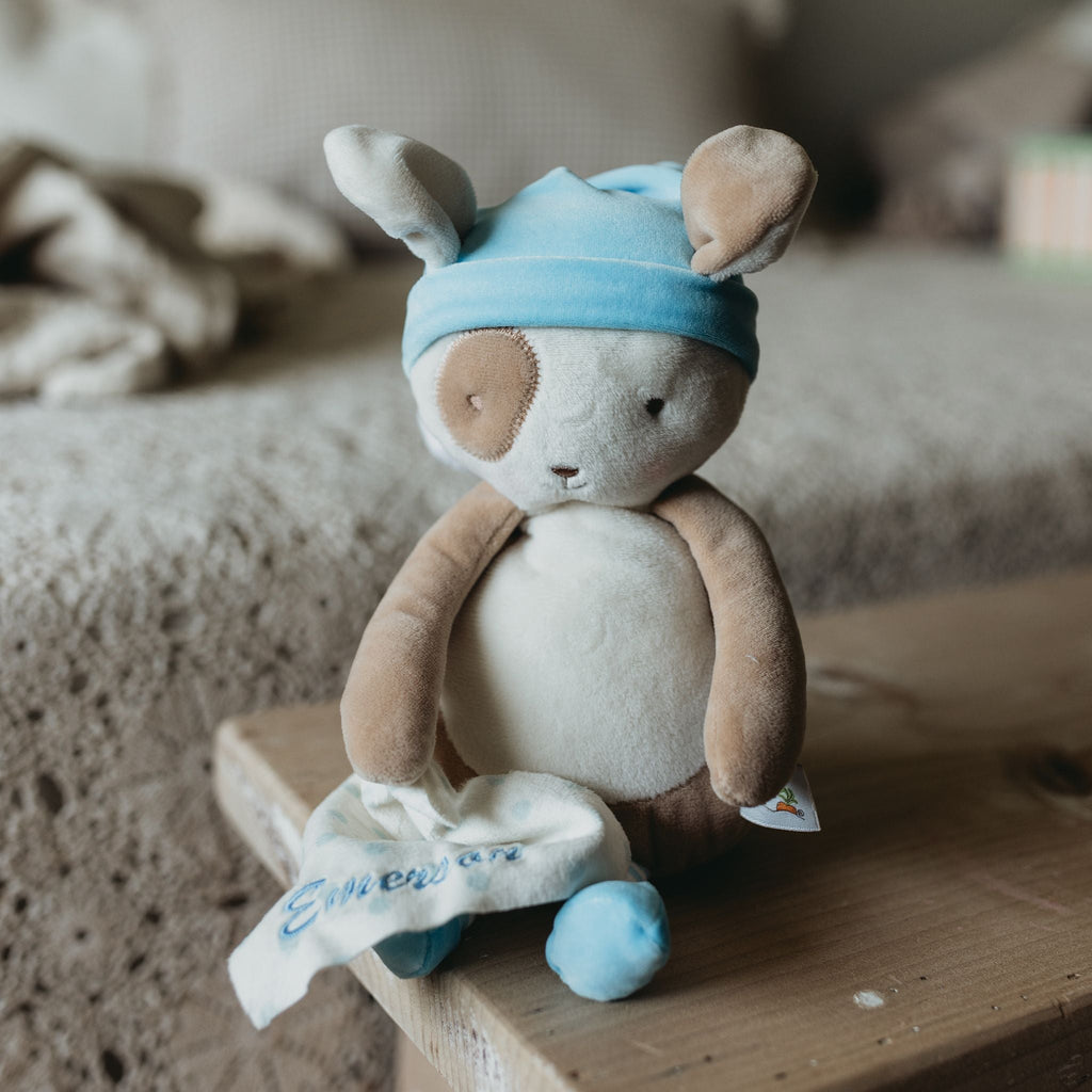 Sleepy Time With Skipit Gift Set