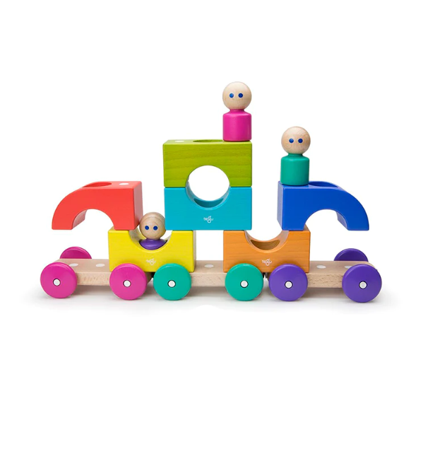 Tegu Magnetic Tram
